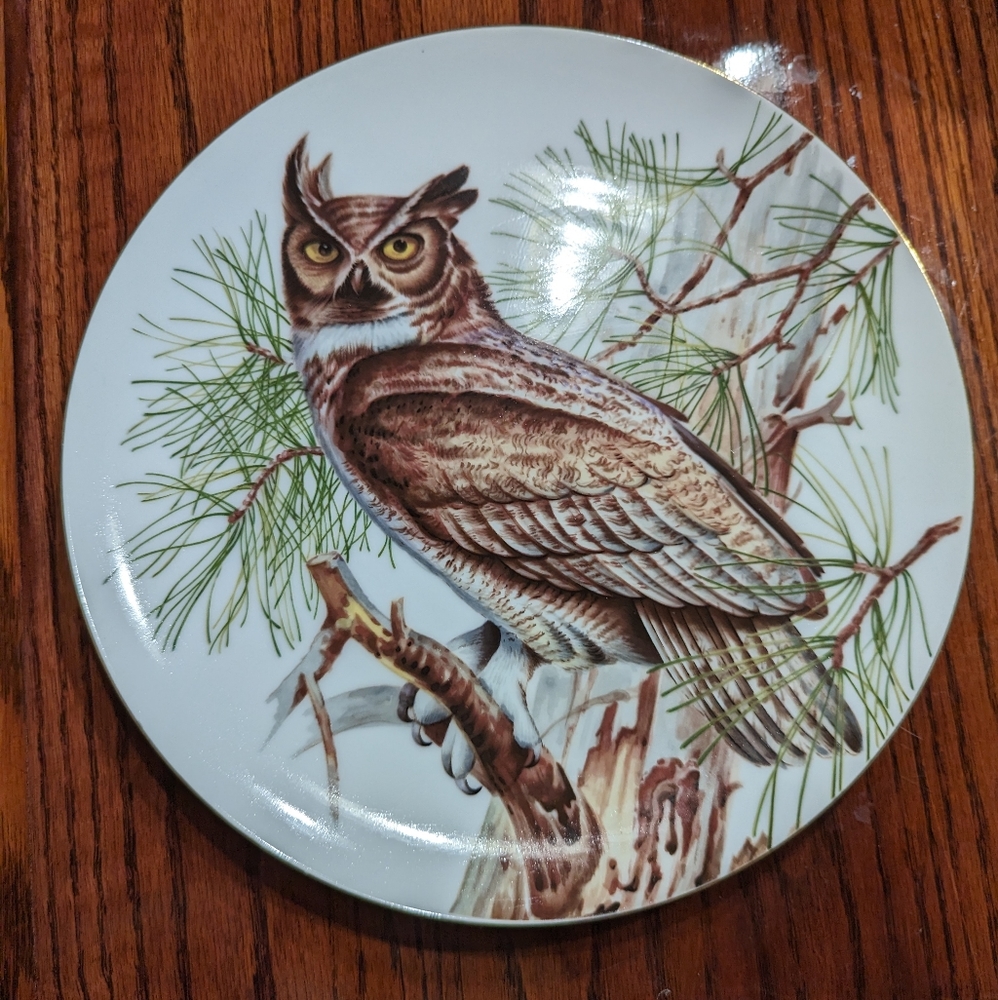 Collector owl plate